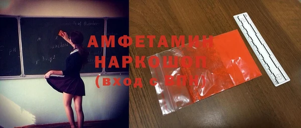 ПСИЛОЦИБИНОВЫЕ ГРИБЫ Вязники