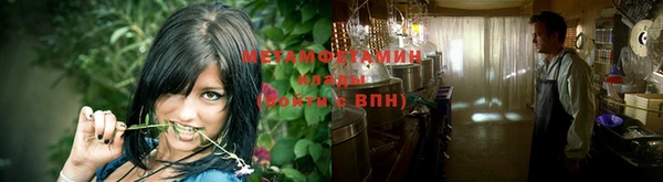 ПСИЛОЦИБИНОВЫЕ ГРИБЫ Вязники