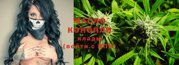 гидра Горняк