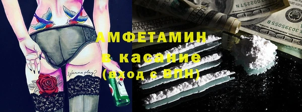 ПСИЛОЦИБИНОВЫЕ ГРИБЫ Вязники